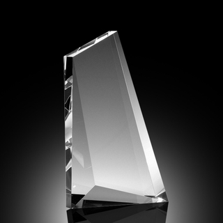 Momentus Elite Award - Vertical (# E2923V)