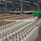 Chinese DOT/Ce/Tped/ISO/BV/TUV/SGS 10L/40L/47L/50L/68L Oxygen/Ntrigon/Argon Cylinder Tank Bottle Export to Indonesia/Kenya/India