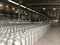 High Quality 2-50kg Empty LPG Gas Cylinder Price Filling with Valve