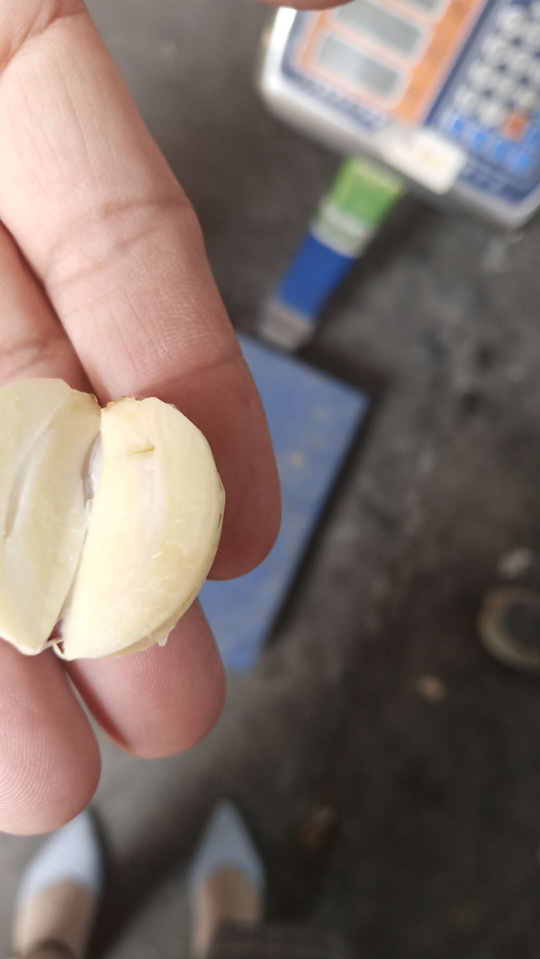 cut 1