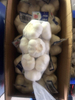 2020 China Fresh Pure White Garlic Export Garlic Bulb Price