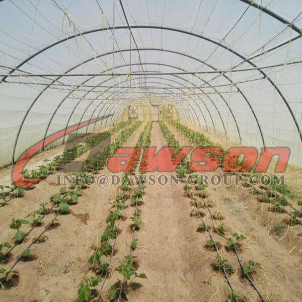 Сельскохозяйственная веревка - Dawson Group Ltd. - Китайский поставщик, завод