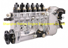 BP1509 C4000-1111100A-C27 Longbeng fuel injection pump for Yuchai YC6C