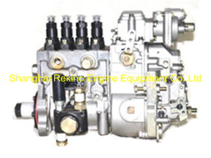 BP14J0 13054649 Longbeng fuel injection pump for Weichai WP4D100E201