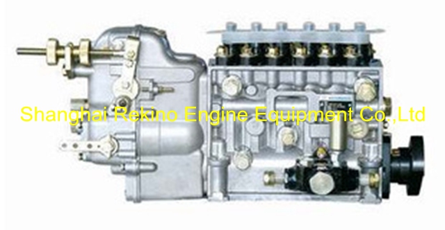 BP22L8Y 612700080009Y Longbeng fuel injection pump for Weichai WP13 generator engine 