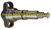 Longbeng ZS576 injection pump plunger element