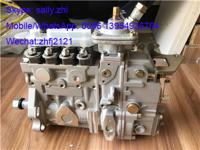 Sdlg Injection Pump 1000185678 /4110002925025 for Sdlg Loader LG936/LG956/LG958