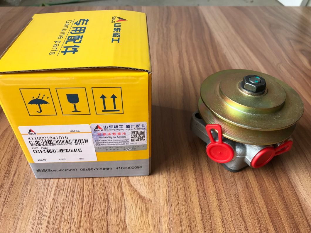 Fuel Pump 4110001841016 for Sdlg Wheel Loader Spare Part