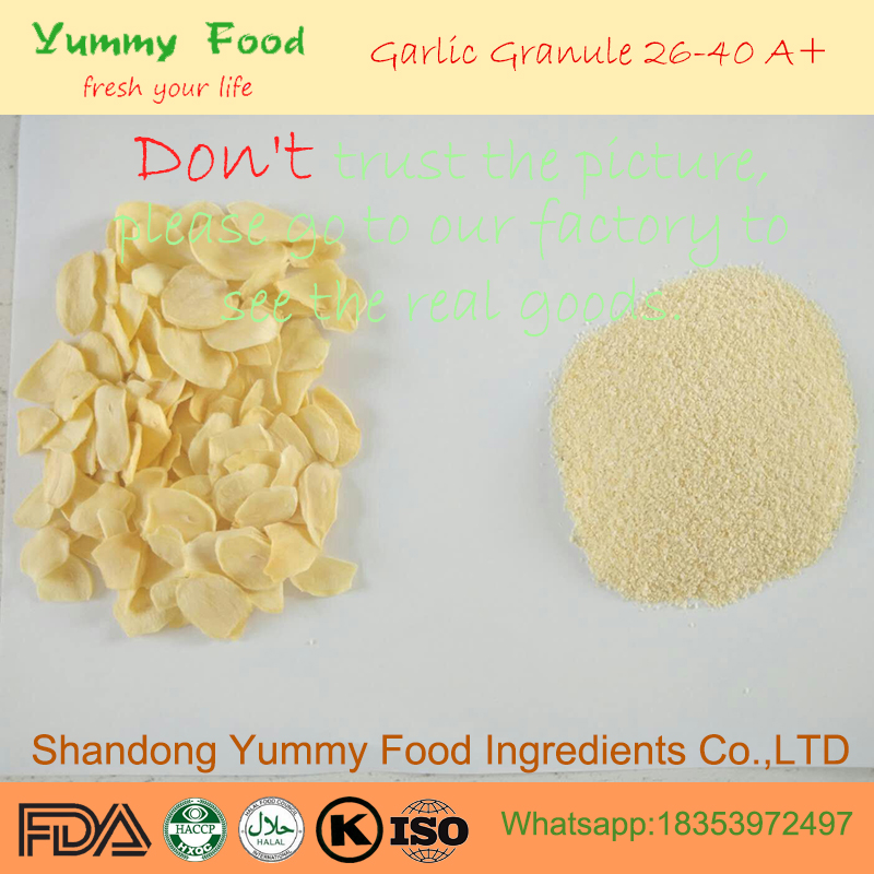 China Premium Dehydrated Garlic Flakes