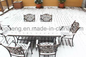 Decking r&eacute;sistant au feu &agrave; extr&eacute;mit&eacute; &eacute;lev&eacute; de la protection de l'environnement WPC pour le Canada