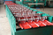 Metal Roofing Materials/Colorful Prepainted Steel Sheet Roofing Factory Price