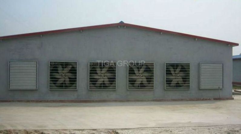 Chicken House Durable Prefabricated Steel Structure for Poultry