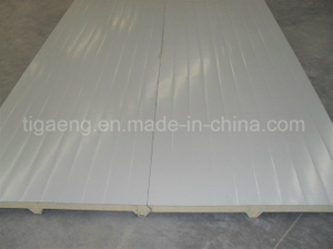 EPS Sandwich Panel for Car Parking/Chicken House/Shed