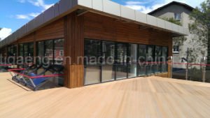 2017 nuevo suelo del Decking de los modelos WPC para el uso al aire libre