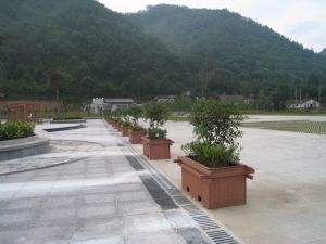 Prueba del moho de la naturaleza y rect&aacute;ngulo superficiales de la flor del parque WPC de la prueba de Temite