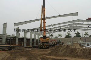 Fabricante del edificio del almac&eacute;n del taller del acero de la tapa 10