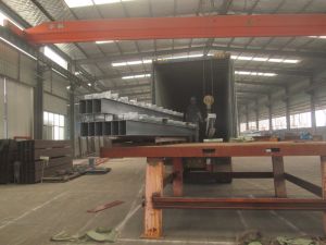 Casas lujosas de Premade de la resistencia del viento y del terremoto del surtidor del oro de China