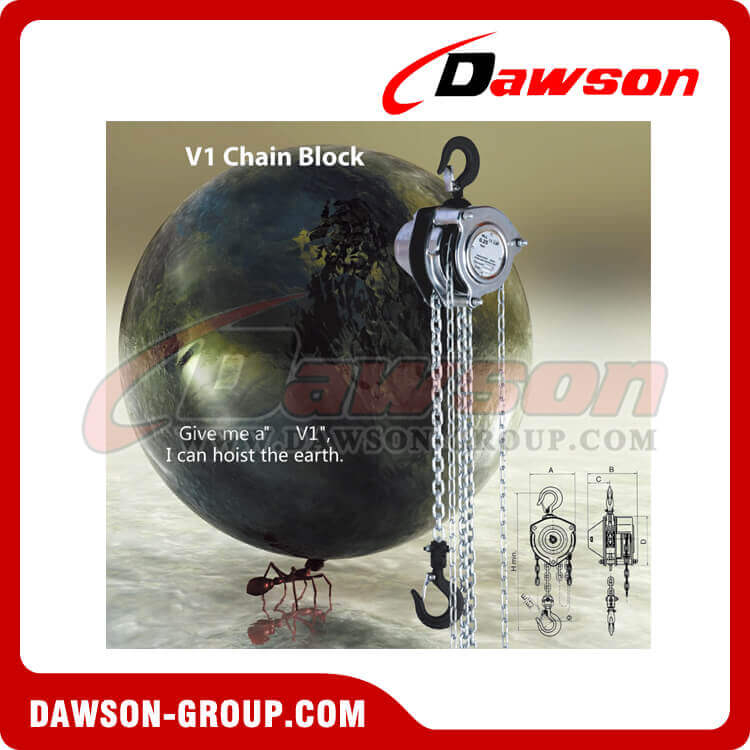 DSV1 Chain Block