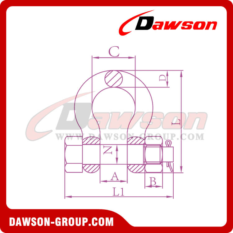 DS756 G8 ボルトタイプ合金弓シャックル - DAWSON GROUP LTD.- 中国のメーカー、サプライヤー、工場