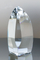 Calla Crystal Point Award Trophy Gift