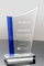 Employee Recognition Awards Surge of Success Crystal Award