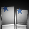 Star Wedge Crystal Award (2011)