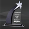 Crystal Starstretch Award (DMC-DCS309)