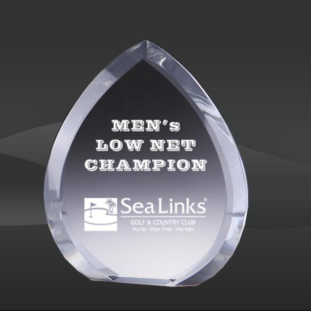 Diamond Joy Crystal Award (DMC-DCA194, DMC-DCA-195)