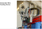 Electric Shower Hot Water Heater Longitudinal Seam Welder Manufacturer