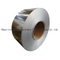 Cold Rolled SUS304, 321, 316 Stainless Steel Strips