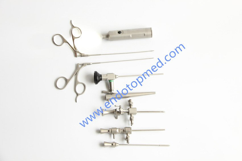 0deg 2.7mm Veterinary Otoscope with Portable LED Light Handle, Sheath and Forceps