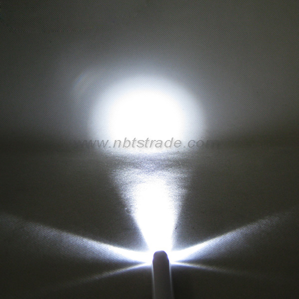 2 AAA LED Penlight with Clip 