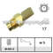 Thermo Switch
