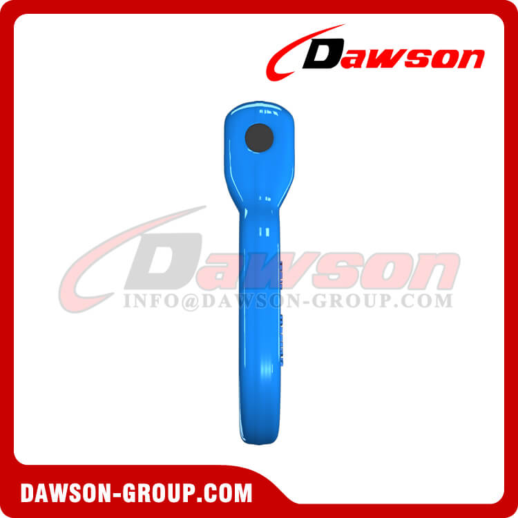 Enlace de horquilla G100 para elevaci&oacute;n de contenedores - Dawson Group Ltd. - Fabricante de China