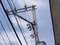 Cutouts Fuses 34.5kv