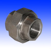 Bsp Female Threaded Pipe Union (YZF-P40)