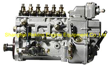 BP5118 612601080060 LONGBENG fuel injection pump for Weichai WD618