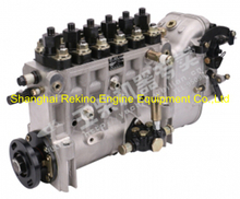 C5300-1111100E-C27 Longbeng fuel injection pump for Yuchai YC6C