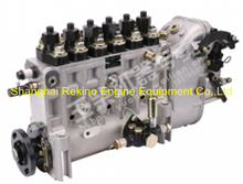 BP1507 C5000-1111100A-C27 Longbeng fuel injection pump for Yuchai YC6C