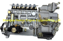 BP51F6 13060667 Longbeng fuel injection pump for Weichai WP6G190E330