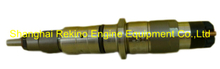 5268408 0445120289 common rail fuel injector for Cummins ISDE