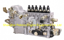 BP5031 M7700-1111100-C27 Longbeng fuel injection pump for Yuchai YC6M