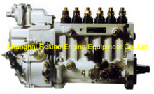 BP2212 616067600001 Longbeng fuel injection pump for Weichai R6160ZC223-1