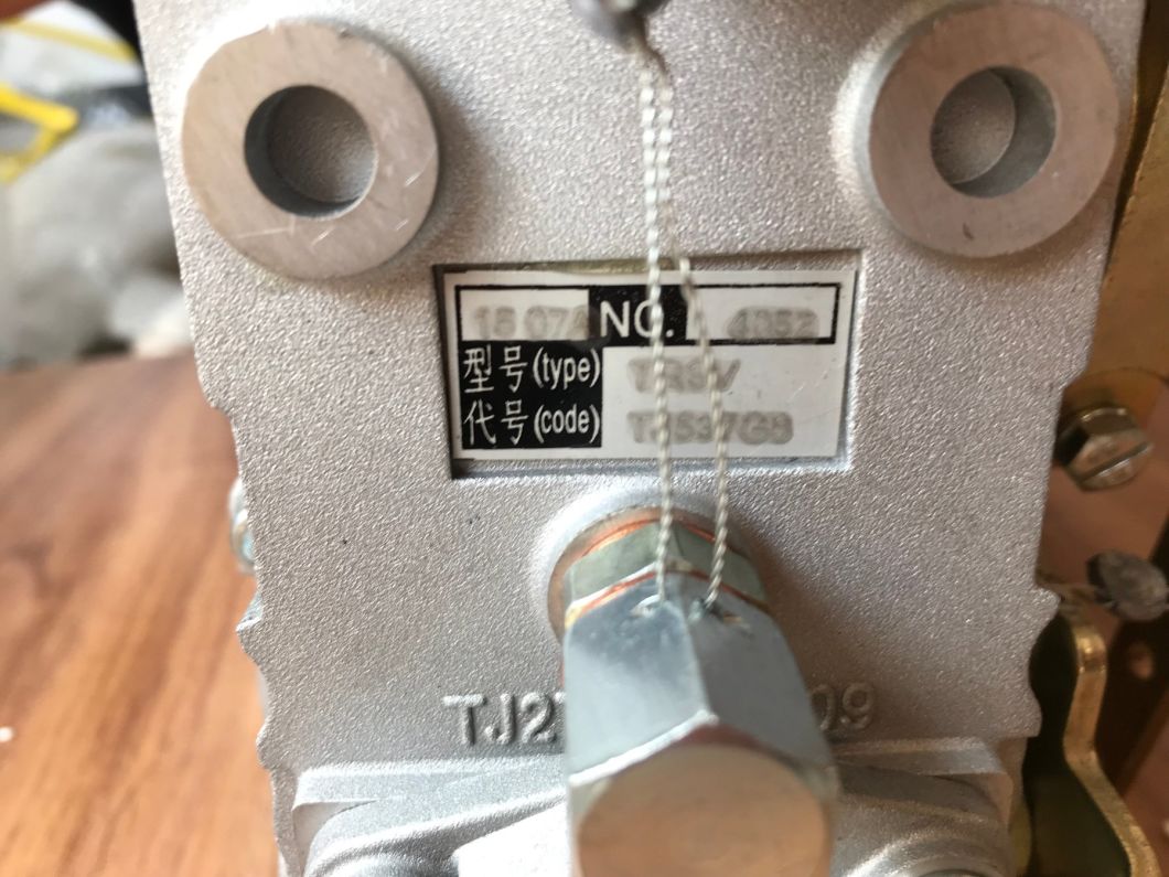 4110002925025 Injection Pump 1000185678# for Wheel Loader
