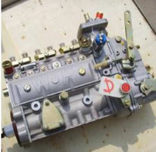 4110000555165 Injection Pump LG968 LG969 Wheel Loader