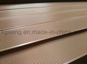 Type neuf panneau compos&eacute; en plastique en bois ext&eacute;rieur de bonne qualit&eacute; de WPC