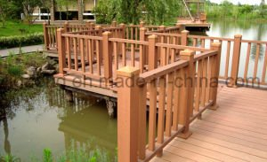 La garantie de bonne qualit&eacute; de s&ucirc;ret&eacute; &eacute;lev&eacute;e WPC-A fait l'&eacute;tage de Decking