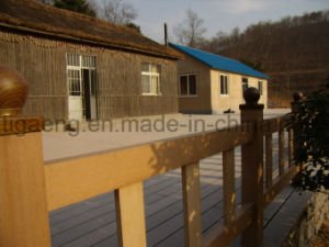 &Eacute;preuve de rouille de surface de nature et Decking &agrave; extr&eacute;mit&eacute; &eacute;lev&eacute; de l'&eacute;preuve WPC de termite