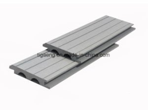 Panneau de WPC/panneau de mur chaud de la taille 1.22m*2.44m WPC/Outdoor WPC