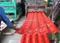 High Quality Colorful PPGI/Gi Corrugated Steel Sheet/Metal Roofing Tile